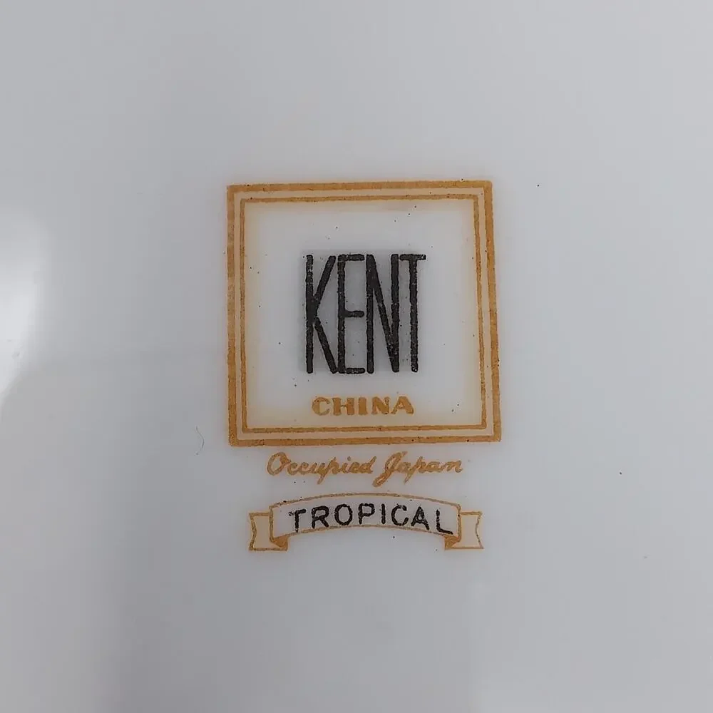 Kent Tropical Pattern Set of 4 Soup Bowls 8 5/8
